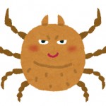 秋のダニはアレルギーの原因？刺されないために掃除で対策！